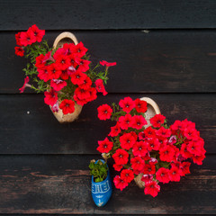 D&eacute;coration murale