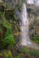 Fototapeta na wymiar Waterfall trickles down a vegetated limestone rock wall