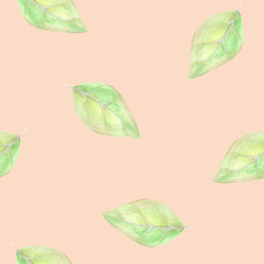 Green watercolor leaves on pink background: floral seamless pattern, tender wallpaper design and textile print.