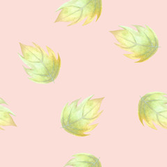 Yellow-green watercolor leaves on pink background: floral seamless pattern, tender wallpaper design and textile print.