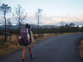 Pilgrim walking in a early morning, Camino de Santiago, Way of St. James, Journey from Santa Marina to Dumbria, Fisterra-Muxia way, Spain