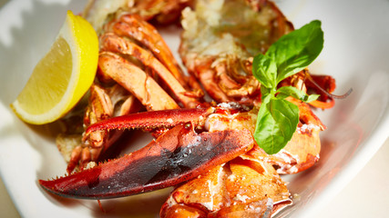 a luxury dish of lobster roasted and decorated with lemon and basil. Shallow dof