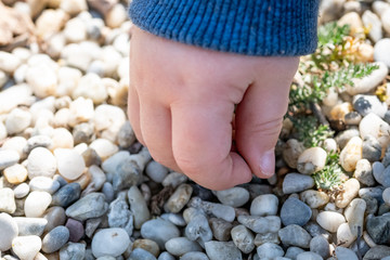 Hand of child reaching for small stones in the park on a sunny day of summer