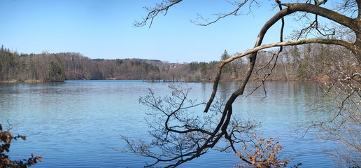 Wildes Ufer am Langbürgner See
