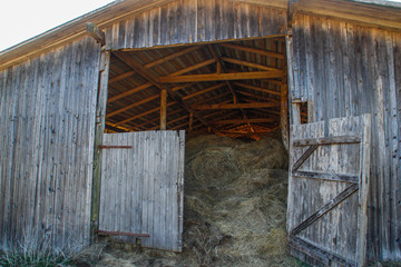Fototapeta na wymiar A large wooden rural barn where dry hay harvested for the winter is stored. Agriculture.