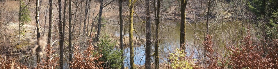 Am Ufer des Langbürgner Sees