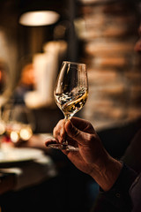 alcool drinks, diferent wine, wine tasting 