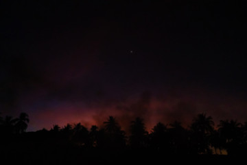 Smoke from a bonfire in a rainforest at sunset. Fires in the forest. Smoke on the background of palm trees at sunset