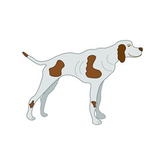 hunting dog with spots, vector illustration