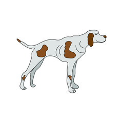 hunting dog with spots, vector illustration