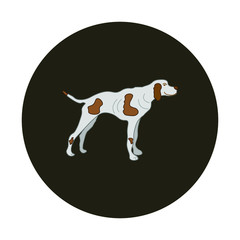 hunting dog with spots, vector illustration