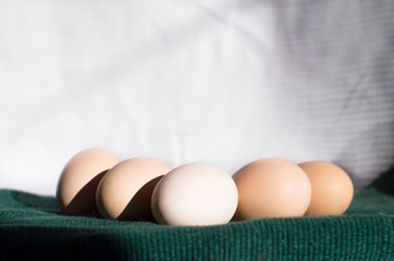 Homemade eggs on fabric