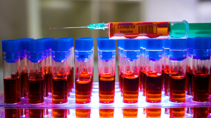 The samples inside the test tubes with the coronavirus vaccine