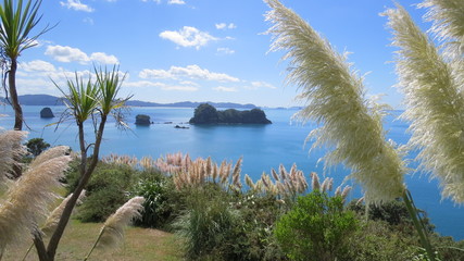 Hahei Coromandel New Zealand