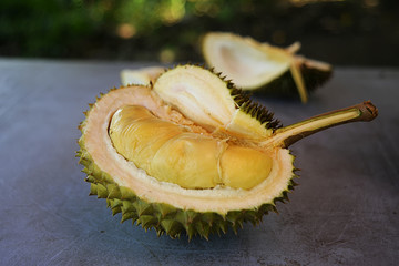 durian villages are usually grown in the village area