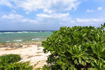 日本の最南端、沖縄県波照間島