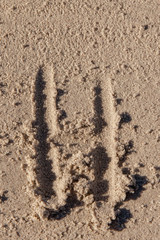 the letter h written in beach sand