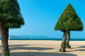 Fototapeta premium Triangle crowned trees on a sandy beach and a couple in love by the sea