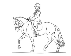 Fototapeta na wymiar Dressage riding pony with rider trotting at a tournament.