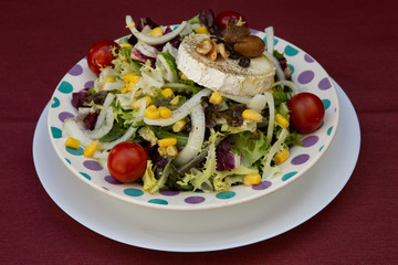 Grilled goat cheese salad