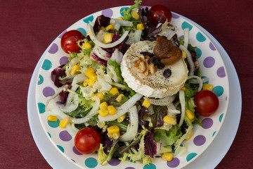 Grilled goat cheese salad