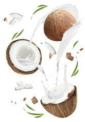 Exotic coconuts and splashes of milk isolated on white