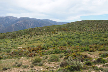Fototapeta premium The landscape with the slope with green grass, far mountains, cloudy sky