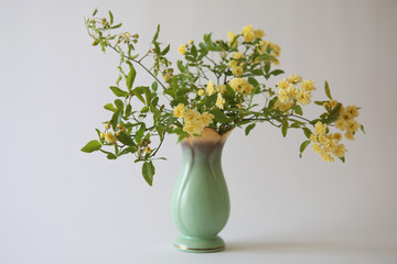 Fiori in vaso; roselline gialle, in vaso vintage verde e oro isolato su fondo chiaro