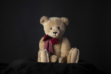 Plush Teddy Bear on a Black Background