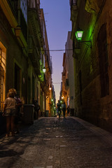 Anonymous people walking down the street with sunset sky, old town, Cadiz, Spain, Europe
