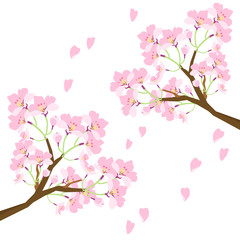 桜の花びらが散っているイラスト