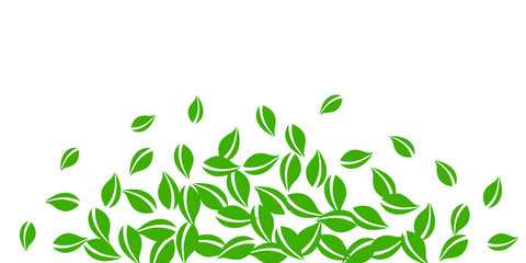 Falling green leaves. Fresh tea neat leaves flying