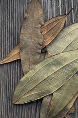 Indian bay leaves on wooden background