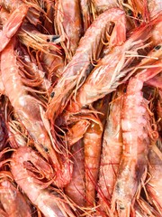 Gambas