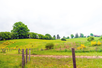 Fototapeta premium French landscape Haute Vienne Limousin,France