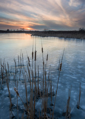 Sunset colors begin to fade as dusk settles over a frozen wetland habitat.
