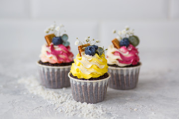 Chocolate cupcakes with mascarpone cream and blueberries on a white background.