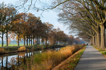 Autumn scenery at the Apeldoorns Kanaal near Eerbeek, Netherlands