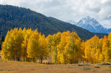 Fototapeta premium Scenic Landscape in Grand Teton National Park Wyoming in Autumn