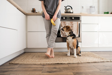 girl with a dog beagle in the kitchen