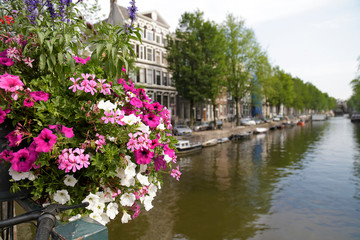 Fototapeta na wymiar Flowers decorating the Prinsengracht canal in Amsterdam, The Netherlands