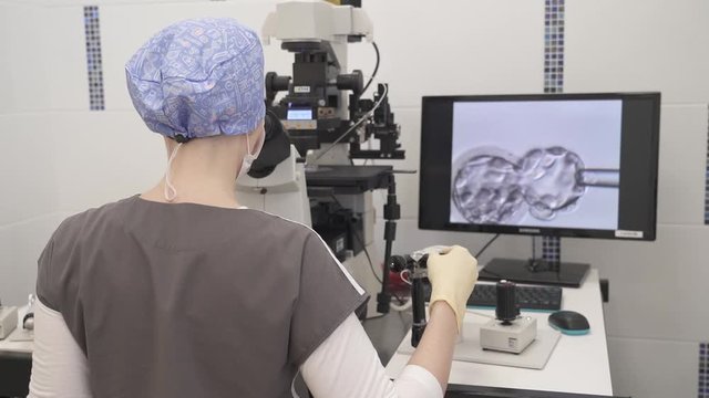 doctor with microscope. 
The doctor examines the embryo material with a microscope. On the monitor you can see the cage.