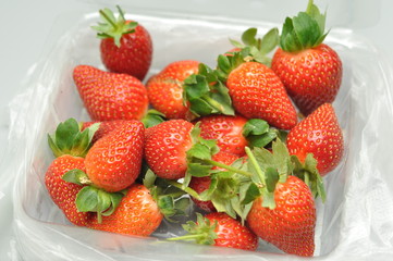 strawberry fresh
