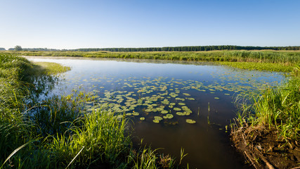 Poranne mgły nad Narwią. Dolina Górnej Narwi, Podlasie, Polska © podlaski49