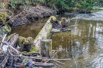 Log Pile In Stream 2