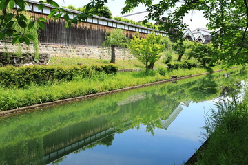 Fototapeta premium 伏見水郷