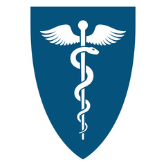 Medical sign symbol - Staff of Asclepius or Caduceus with wings icon on the flat shield. The snake entwined around a wooden staff with wings. Other name Rod of Aesculapius.