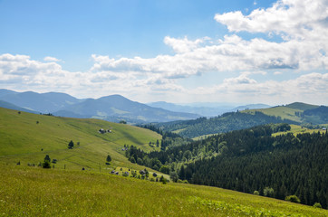 Rural old wooden houses on the edge of a forest on hills and grassy meadow in the Carpathian mountains in Ukraine. Beauty of nature concept background.