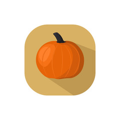 pumpkin flat design vector halloween