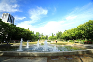 靭公園_バラ